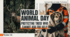 Урок англійської мови до ДНЯ ЗАХИСТУ ТВАРИН «World Animal Day» (6-9 класи). Презентація