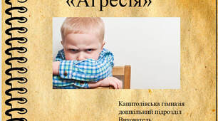 Презентація "Агресія"