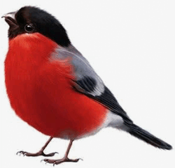 1100ev74-4f2b-250x241.png