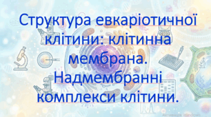 9 клас. НУШ. Біологія. Презентація до уроку: Структура евкаріотичної клітини: клітинна мембрана. Надмембранні комплекси клітини.