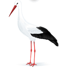 1100ev9h-3389-276x295.png