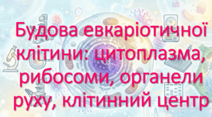 9 клас. НУШ. Біологія. Презентація до уроку: Будова евкаріотичної клітини: цитоплазма, рибосоми, органели руху, клітинний центр