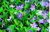 1100evbt-2ad2-216x139.png