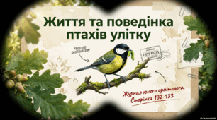 Презентація до уроку ЯДС у 2 класі на тему "Життя та поведінка птахів улітку".(ІІ семестр)