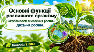 Основні  функції рослинного організму. Особливості  живлення рослин. Дихання рослин. Презентація.Біологія .7 клас за підручником Тагліної.
