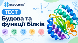 9 клас НУШ. Біологія. Будова та функції білків.