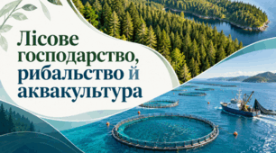 Лісове господарство. Рибальство й аквакультура. 9 клас НУШ, за підручником Запотоцького.