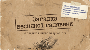 Письмовий докладний переказ тексту розповідного характеру з елементами опису тварини, що містить синоніми та антоніми (за простим планом).  5 клас НУШ