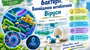 Бактерії. Винайдення антибіотиків. Віруси