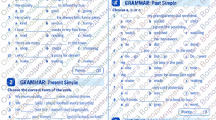 Diagnostic Test — 7th Grade: Vocabulary & Grammar Діагностична робота з англійської мови для 7 класу Unit 1-4
