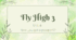Fly High 3 – Unit 4: Have you got a passport?