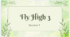The  FlyHigh 3 Unit 1-4 Review