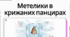 Оксана Радушинська «Метелики в крижаних панцирах» (скорочено). Коротко про письменницю. Історія написання, символіка назви повісті