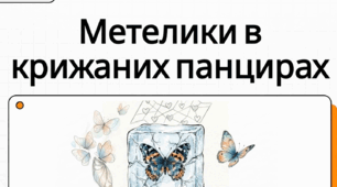 Оксана Радушинська «Метелики в крижаних панцирах». Проблема самоствердження в суспільстві особистості з інвалідністю. Розкриття характеру головної героїні, її життєва позиція, стійкість у подоланні труднощів