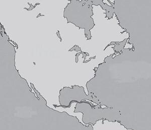 1100fl3j-83bb-439x378.jpg