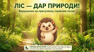Ліс-дар природи! Правила поведінки у лісі.