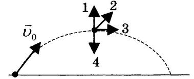 1100fng8-1a04-379x155.jpg