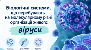Біологічні системи, що перебувають на молекулярному рівні організації живого: віруси