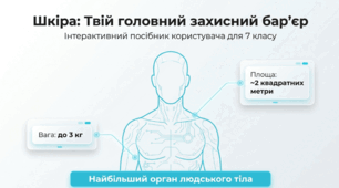Чинники, що впливають на здоров’я шкіри та її функції