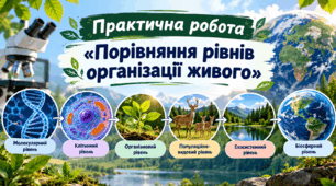 Практична робота № 3 «Порівняння рівнів організації живого». 10 клас. Природничі науки. За навч. програмою Романишина.