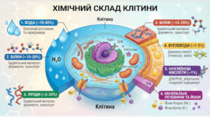 9 клас Підсумковий тест з теми: «Хімічний склад клітин. Молекулярний рівень організації життя»