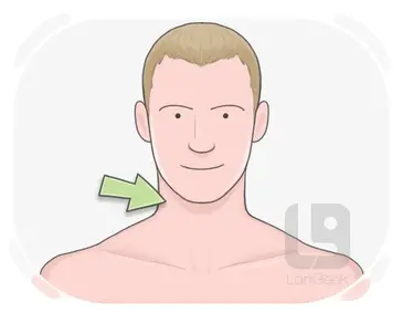 1100fpzb-b6b4-365x292.webp