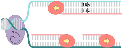 1100fqpi-11cf-402x163.png