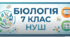13.Еукаріоти.