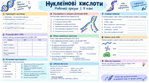 Робочий аркуш. НУКЛЕЇНОВІ КИСЛОТИ І ЇХ РОЛЬ ЯК НОСІЯ СПАДКОВОЇ ІНФОРМАЦІЇ. ДНК