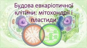 9 клас. НУШ. Біологія. Презентація до уроку: Будова евкаріотичної клітини: мітохондрії і пластиди.