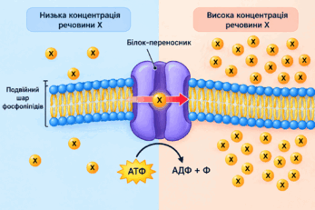 1100g73b-afe3-285x190.png