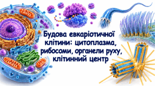 Будова евкаріотичної клітини: цитоплазма, рибосоми, органели руху, клітинний центр.