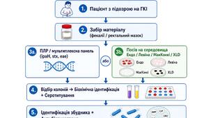 Лабораторна діагностика хвороб спричинених шигелами та ешеріхіями.