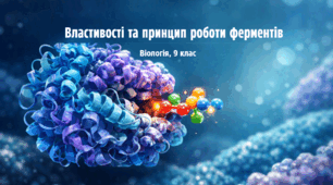 Робочий аркуш для 9 класу з біології на тему "Властивості та принципи роботи ферментів" за підручником О. Тагліної, А. Самойлова, 2026 року