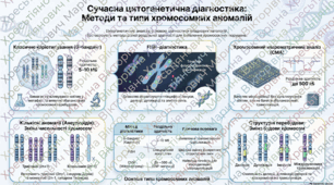 Робочий аркуш: Каріотип людини та його особливості. Хромосомний аналіз як метод виявлення порушень у структурі каріотипу.