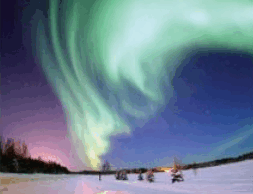1100gl9p-5cd4-253x194.png