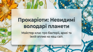 12. Різноманіття прокаріотів і принципи їхньої класифікації