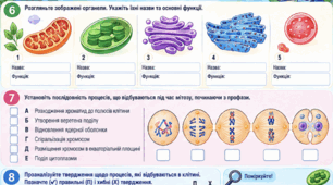 Контрольна ( Діагностична ) робота з біології для 9 класу «Клітина — структурно-функціональна одиниця організмів» | 4 варіанти різного рівня складності