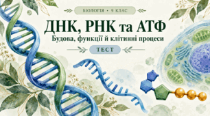 ДНК, РНК та АТФ: будова, функції й клітинні процеси