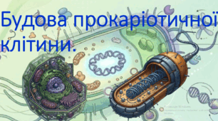 9 клас. НУШ. Біологія. Презентація до уроку: Будова прокаріотичної клітини.