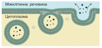 1100grvp-34e8-334x158.png