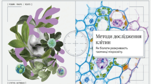 12. Методи дослідження клітини