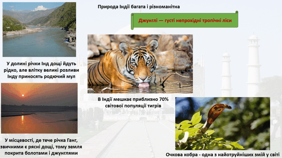 1100gvtl-1373-940x529.png