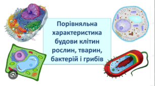 9 Лабораторне дослідження структурно-функціональної різноманітності клітин евкаріотів