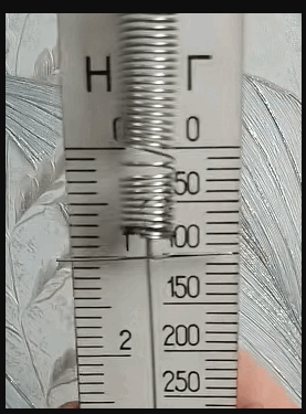 1100gy6d-d447-277x375.png