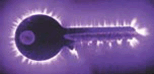 1100h1mw-0e83-154x74.png