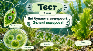 Зелені водорості: будова, різноманітність і пристосування
