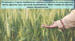Розміщення в Україні виробництва зернових і технічних культур, продукції тваринництва. Місце України на світових ринках продовольства