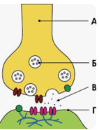 1100hey2-afb1-142x186.png