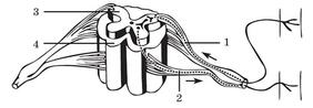1100hfc7-ee5f-282x98.jpg